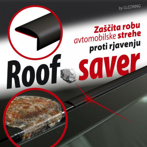 Protection de toit pour Renault Clio V